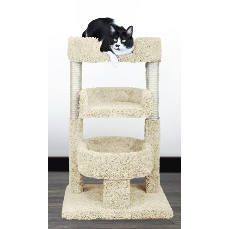 5 foot cat tree
