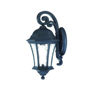 Waverly 1-Light Outdoor Wall Lantern