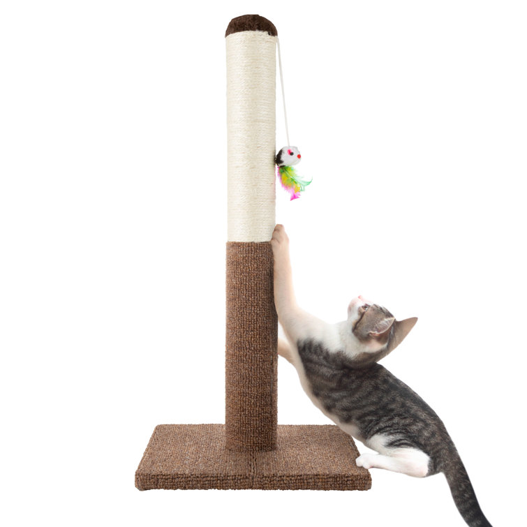 wayfair scratching post