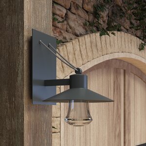 Musson LED 1-Light Outdoor Wall Lantern