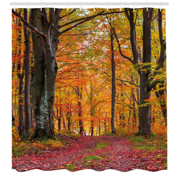 Ebern Designs Xanthe Autumn Fall Forest With Shady Deciduous Trees And Faded Leaf Magic Woodland Picture Single Shower Curtain Wayfair