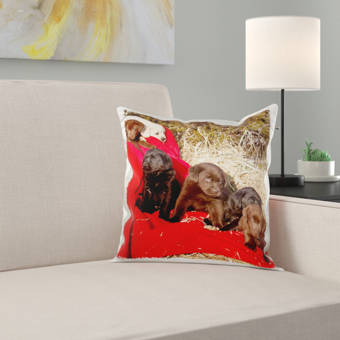 Ophelia Co Elsie Chandelier Linen Throw Pillow Wayfair