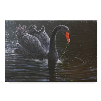BEAUTIFUL WOMEN AT POND WITH FLOWERS /& SWANS PAINTING ART REAL CANVAS PRINT