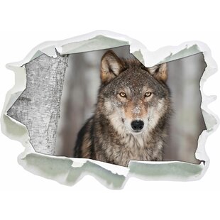 Wandtattoos Wolf Wayfair De