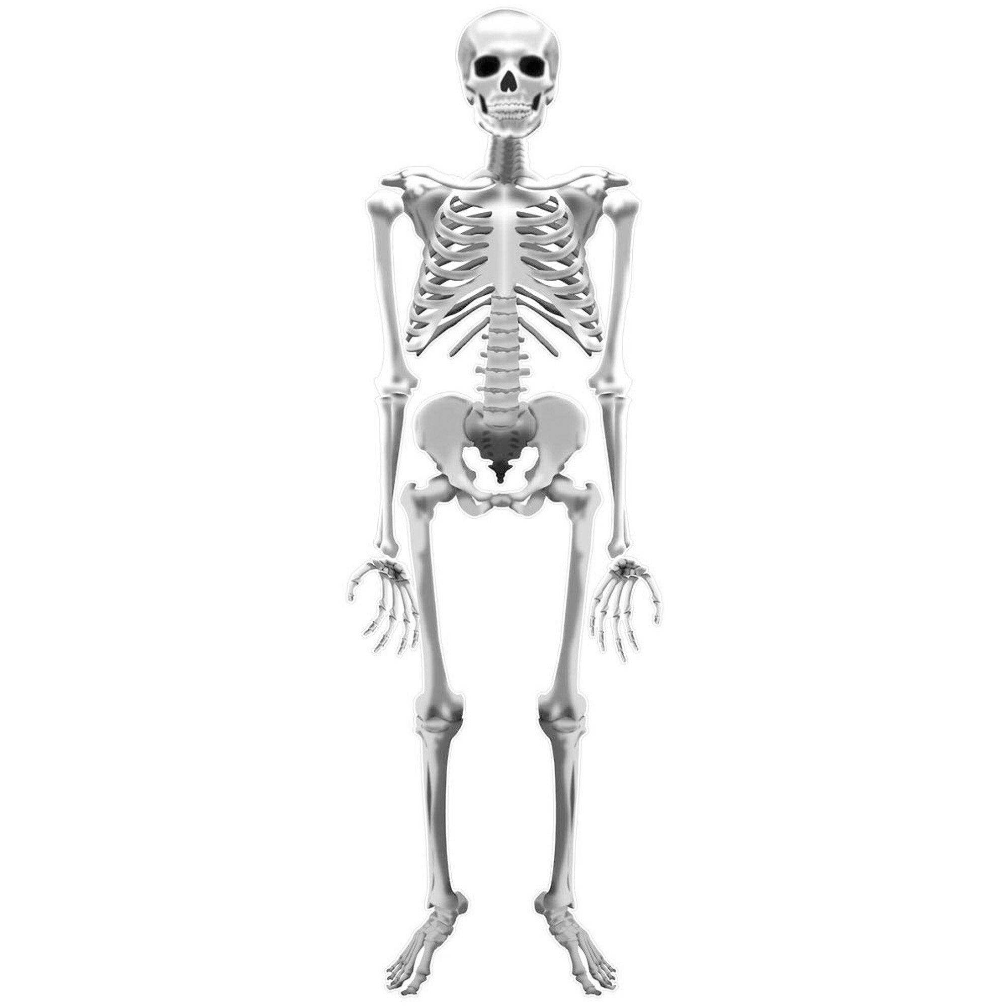 Ebern Designs Skeleton Peel and Stick Spooky Wall Decal | Wayfair