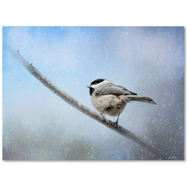 Trademark Art Chickadee In The Snow Graphic Art Print On Wrapped
