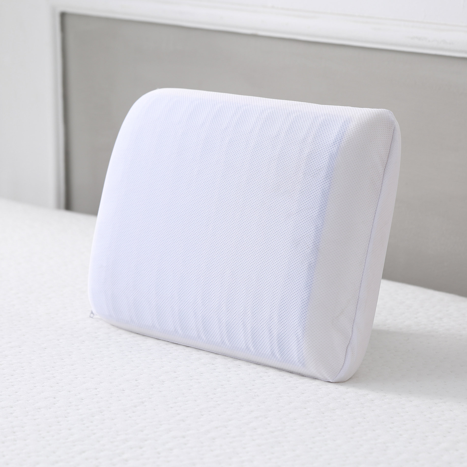 Alwyn Home Reversible Travel Gel And Memory Foam Pillow Reviews