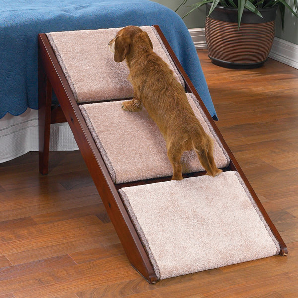 wayfair pet steps