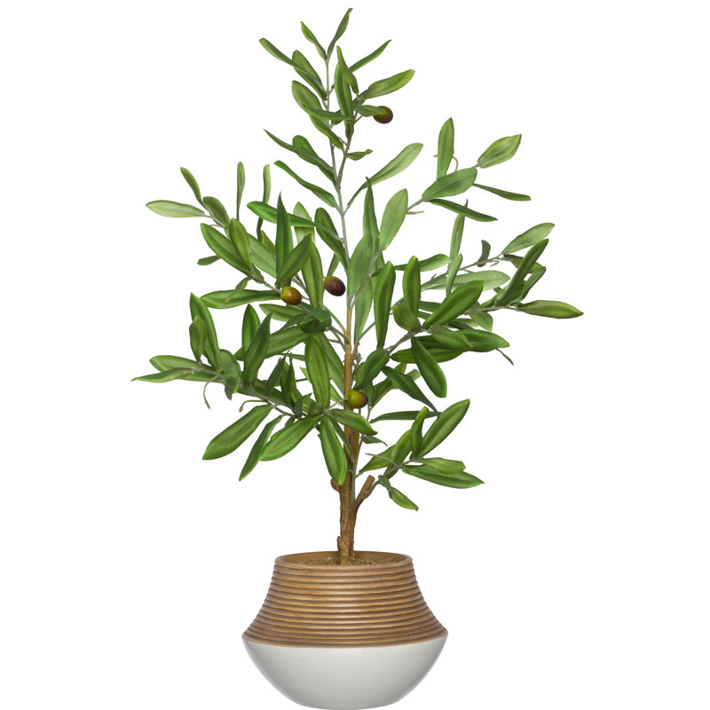 faux plant