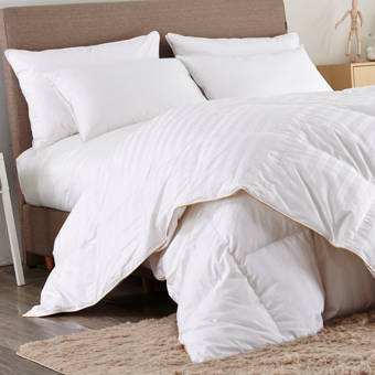 Eddie Bauer All Season Down Comforter Reviews Wayfair