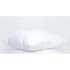 Down and Feathers European Pillow by Sealy