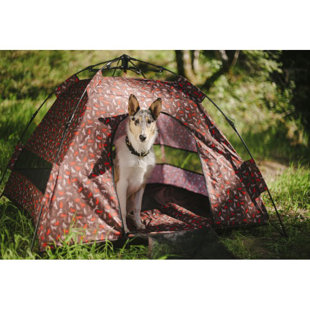 dog outdoor tent