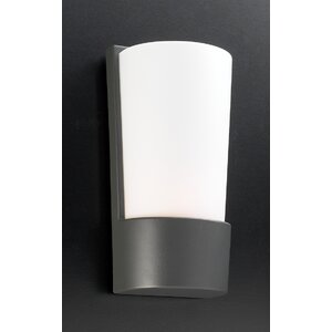 1-Light Outdoor Flush Mount