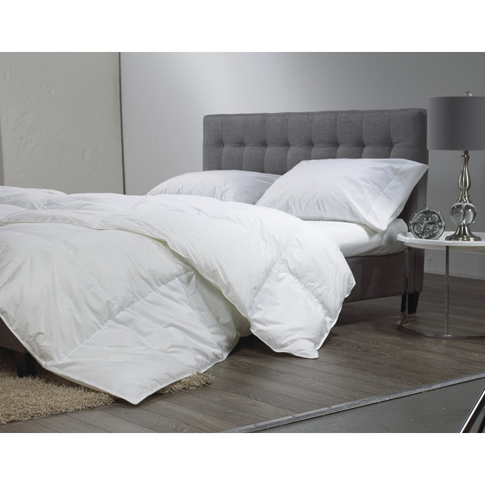 Westex Canadian All Season Down Comforter Reviews Wayfair Ca