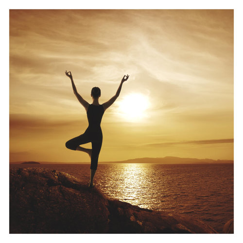Yoga 2.4m x 2.4m Textured Matte Peel & Stick Wall Mural East Urban Home