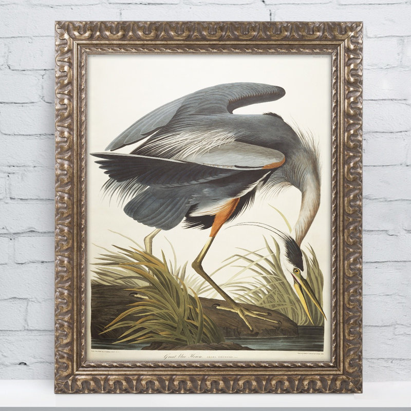Trademark Art Great Blue Heron By John James Audubon Framed