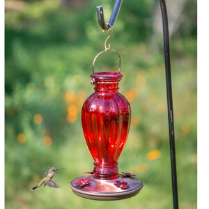 Daisy Vase Glass Hummingbird Feeder