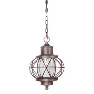 Catt 1-Light Outdoor Hanging Lantern