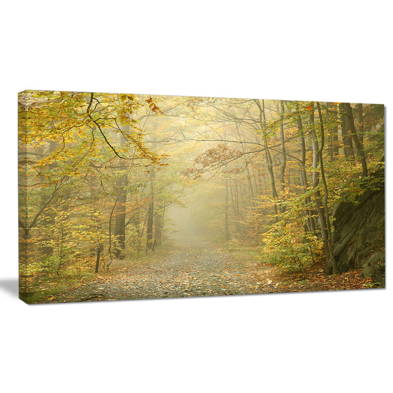 Designart Autumn Forest Path On Misty Morning Photographic Print On Wrapped Canvas Wayfair