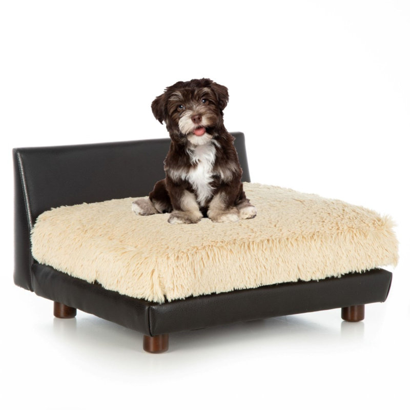 mini murphy bed dog