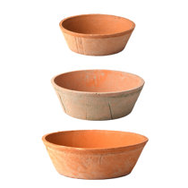 Terracotta Planters You Ll Love In 2021 Wayfair