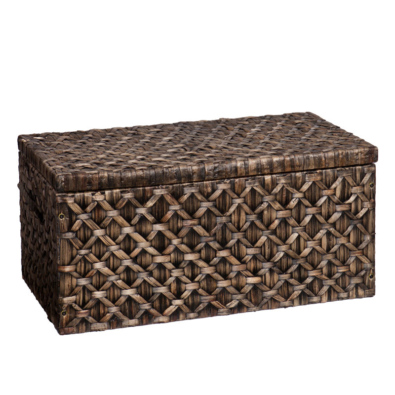 shop 769 decorative trunks | wayfair shop 769 decorative trunks | wayfair