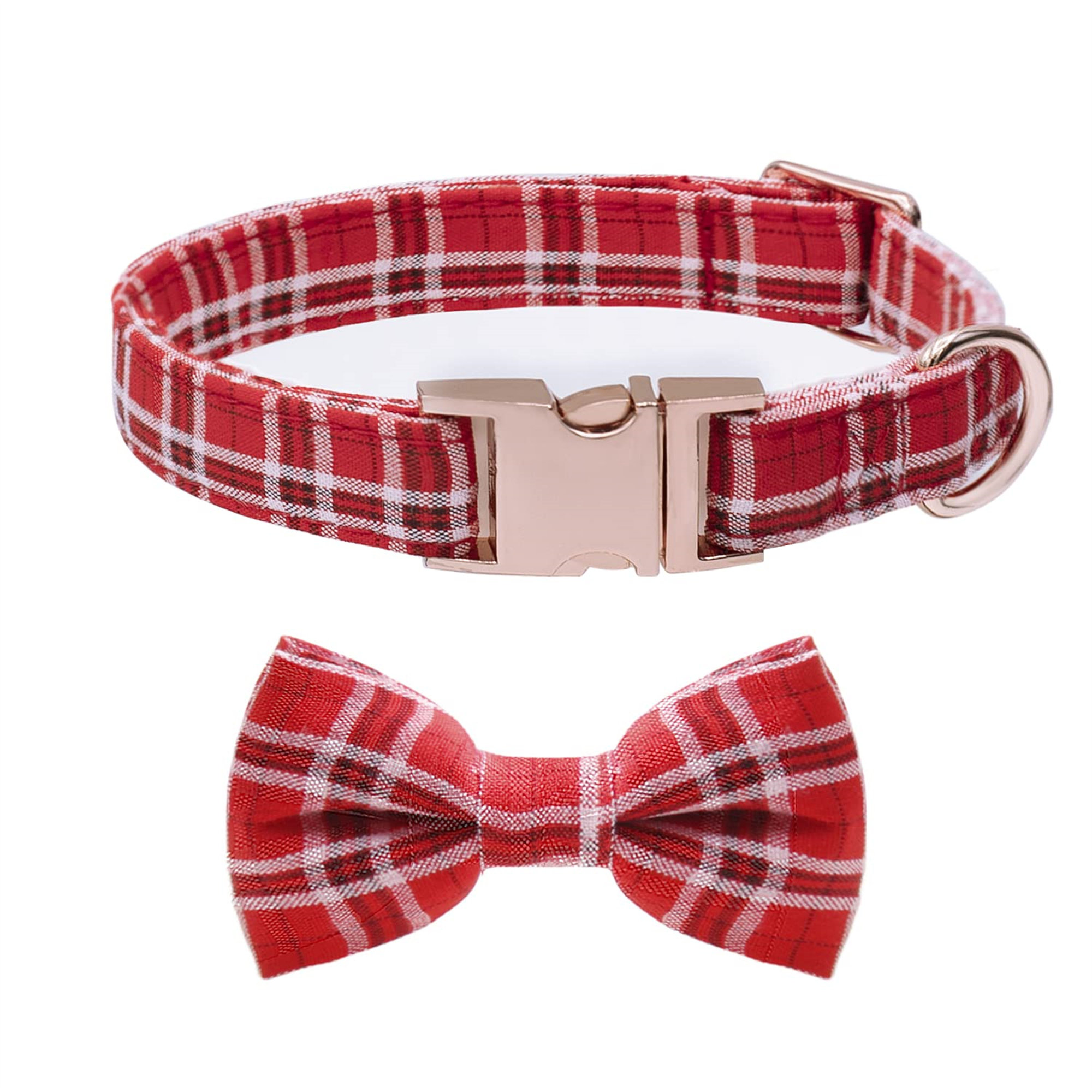 boy dog collars