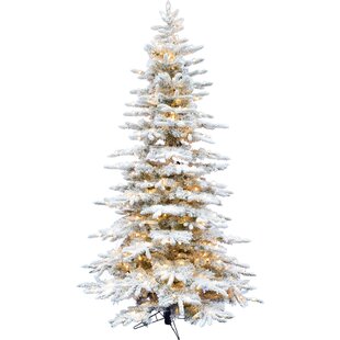 6 ft Trimmerry Mountain Pine Artificial Christmas Tree with Clear Mini Lights 