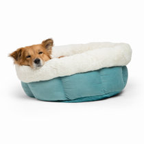 snooze paws cuddle cup