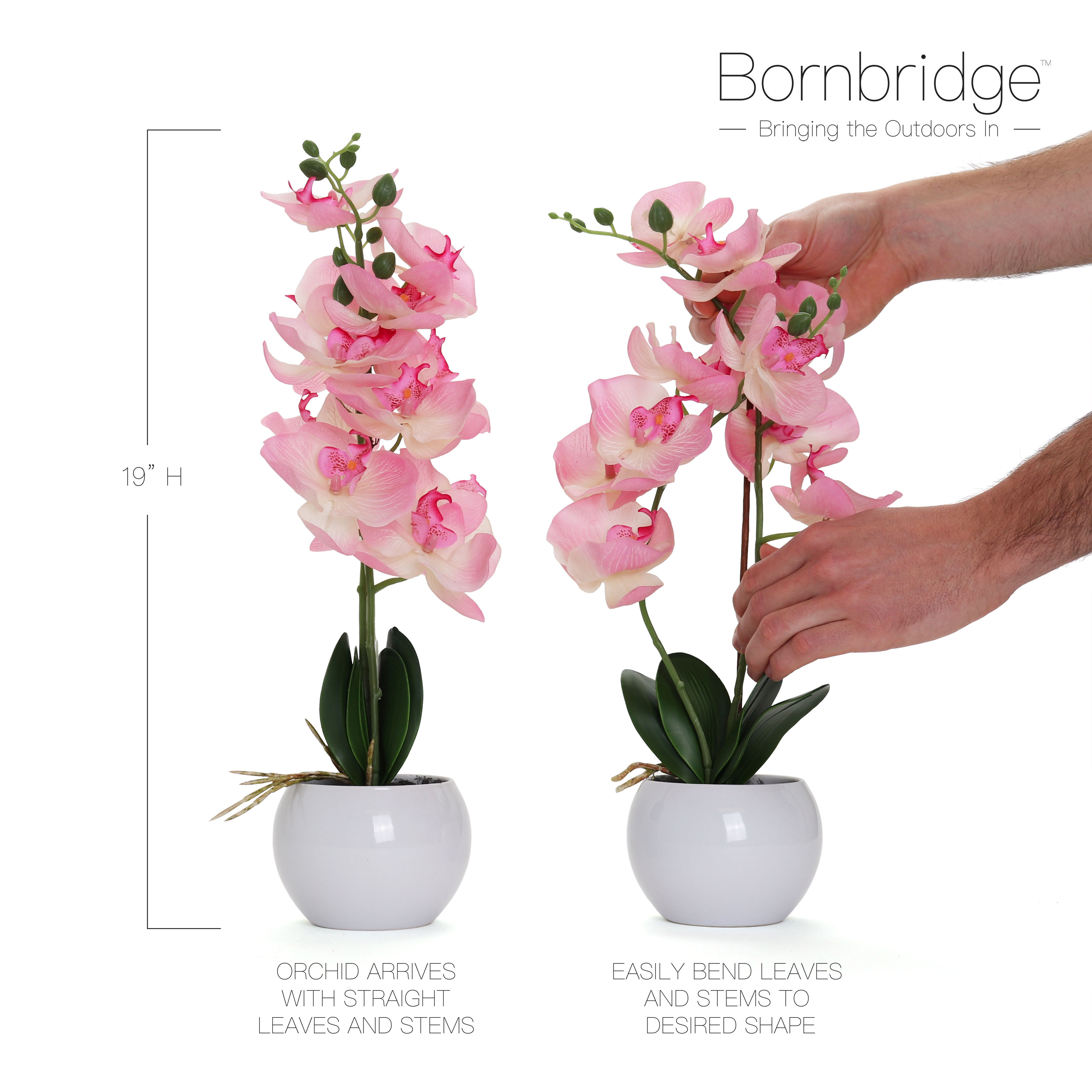 Bornbridge Artificial Orchid in Vase & Reviews Wayfair