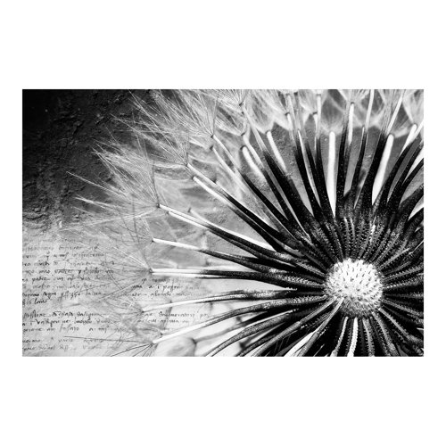 Dandelion 2.55m x 3.84m Textured Matte Peel & Stick Wallpaper Roll East Urban Home