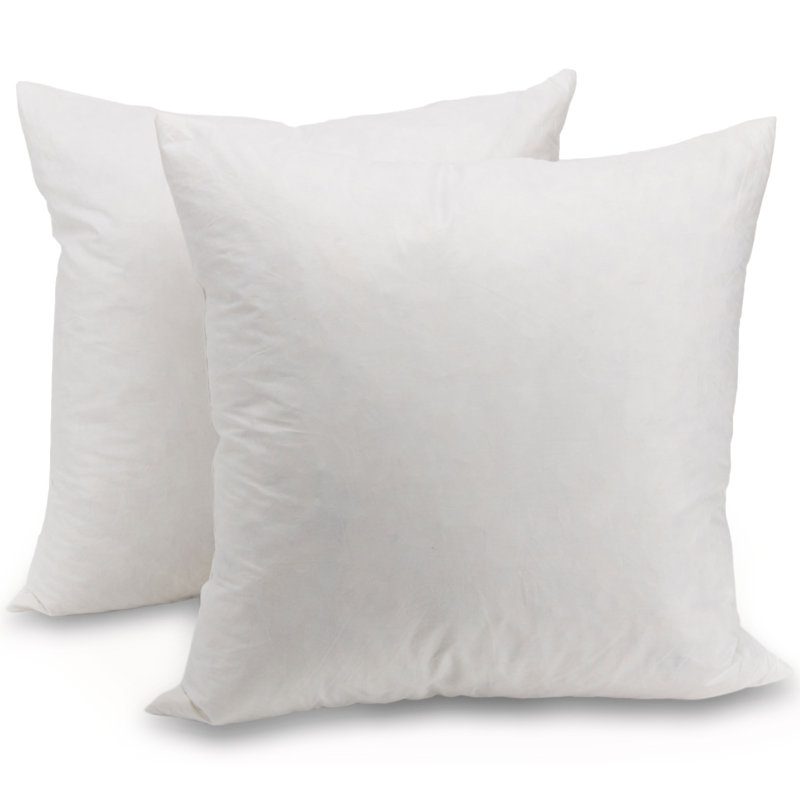 Alwyn Home Ottilie Down Feather Cotton Euro Pillow Reviews Wayfair