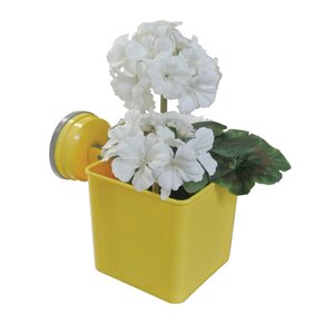 Push 'N Stay Square Suction Flower and Plant Holder
