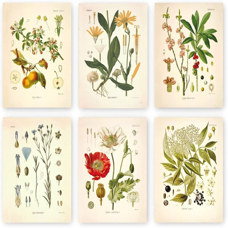 ZGONGZ Vintage Botanical Wall Art Prints Set 8X10 Inch 6PCS Plant ...