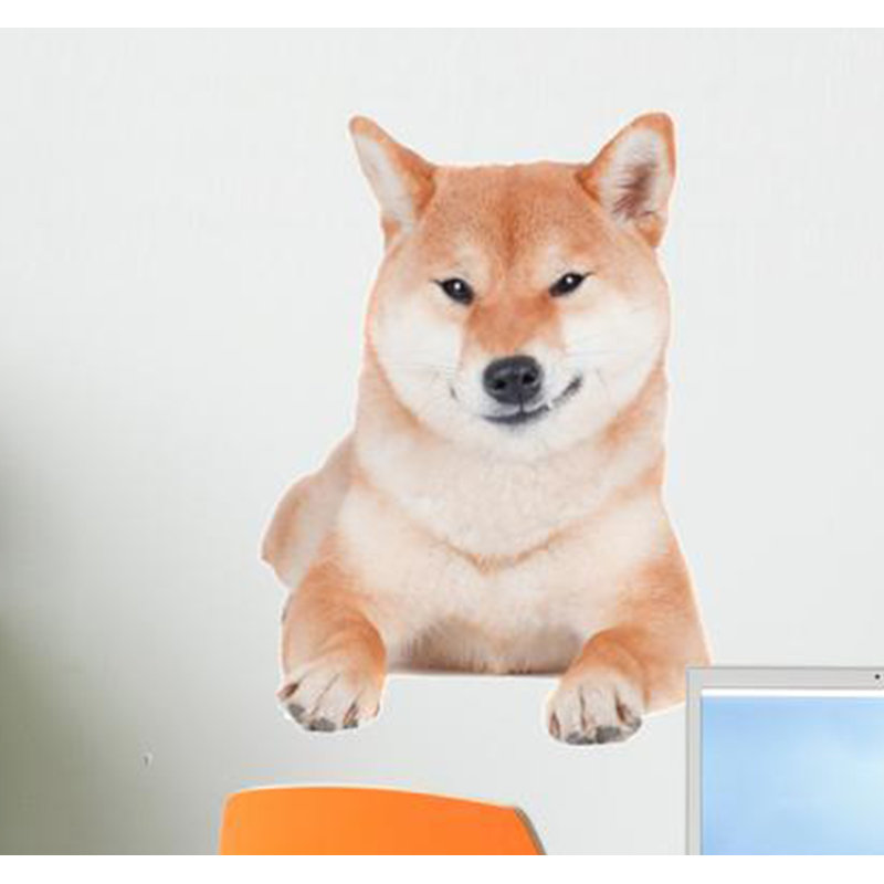 adirondack shibas