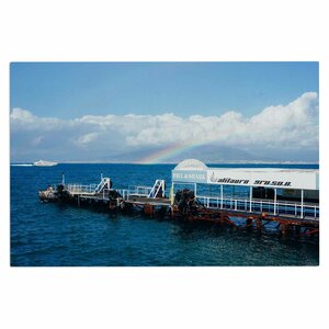 'Rainbow Pier' Doormat