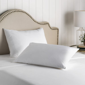 Wayfair Basics Washable Zippered Pillow Protector (Set of 2) by Wayfair Basics?