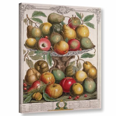 February from Twelve Months of Fruits - Wrapped Canvas Print Alcott Hill® Size: 24
