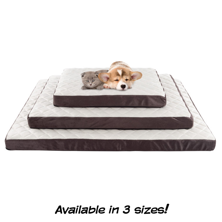 odor resistant dog bed