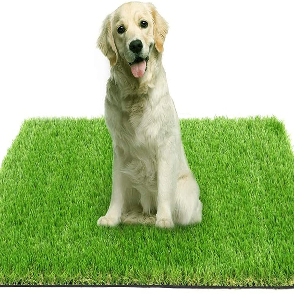 can dogs pee on artificial grass