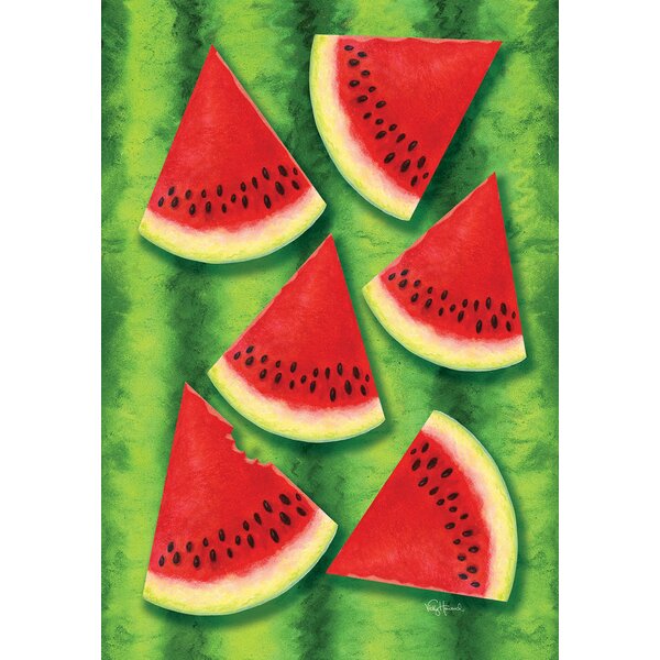 Toland Summer Fun 28 x 40 Sunshine Watermelon Picnic House Flag 