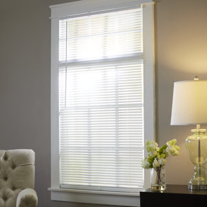 Wayfair Basics Semi-Sheer Cordless Venetian Blind