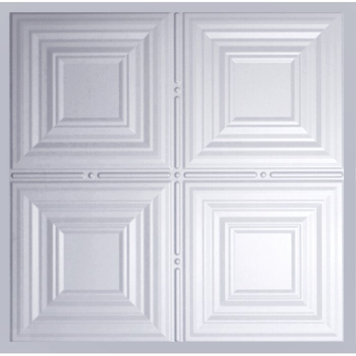 Global Specialty Products 2 Ft X 2 Ft Lay In Ceiling Tile In