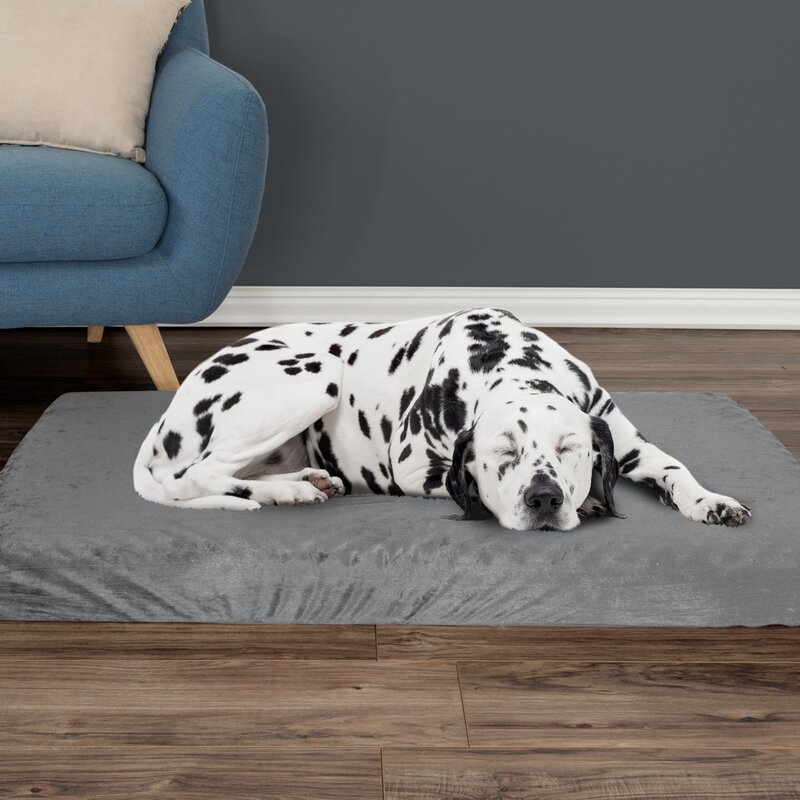 the cool pet pad reviews