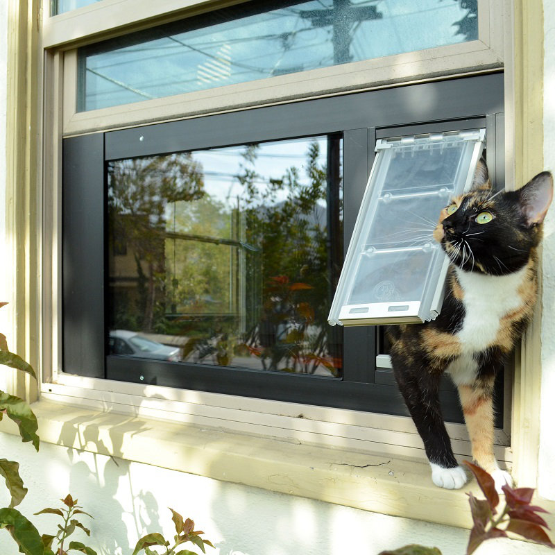 Enduraflap Endura Flap Thermo Sash 3e Pet Door Wayfair