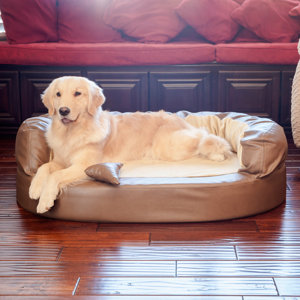 Luxury Orthopedic Memory Foam Leatherette Bolster Dog Bed