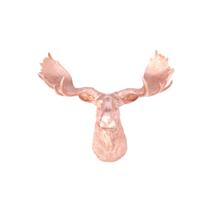 Moose Head Bust Antlers Hangs On Wall Outdoor Life Like