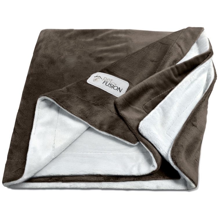 PetFusion Premium Reversible Micro Plush Pet Blanket & Reviews | Wayfair