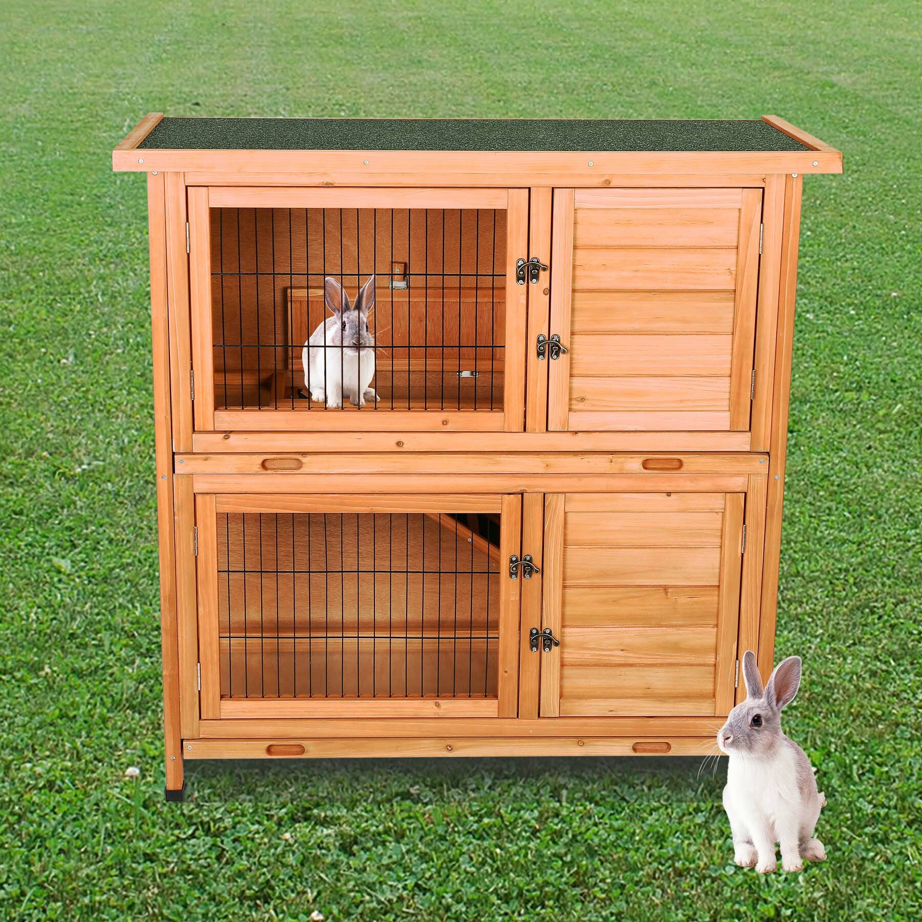 guinea pig house