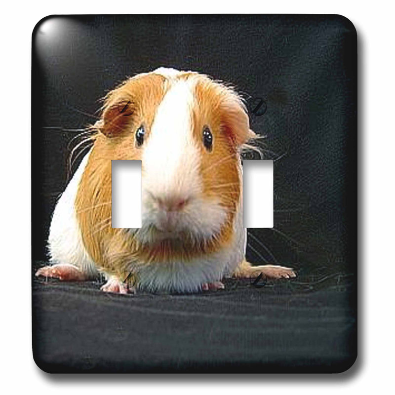 electronic guinea pig
